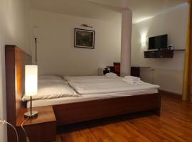 Hotel Arli，位于塞尼察的酒店