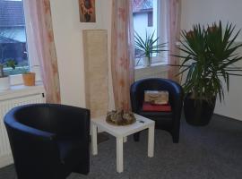 Ferienwohnung zur Apotheke，位于Hessen的酒店