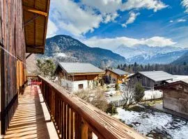 Apartment near the slopes in Servoz