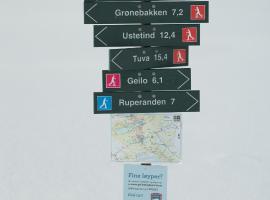 Kikut1010 Skurdalsvegen 107，位于Hol的酒店