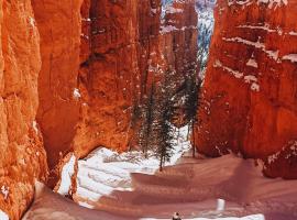 Bryce Canyon Escalante Glamping，位于佳能威尔的酒店