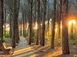 Casa Vacanze "Pizzo Sorriso Del Mare"