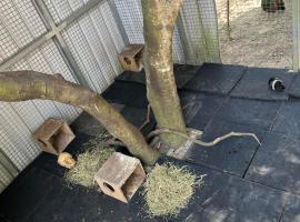 拇指園民宿，位于横冈下的住宿