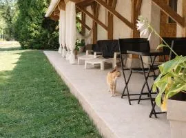 Gîte climatisé avec jardin privé vue sur les vignes entre Jonzac et Cognac
