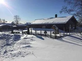 Holiday home in beautiful Rondane with pool and sauna