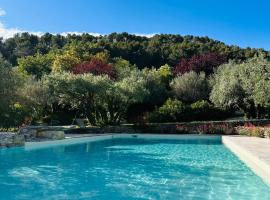 达纳斯旅馆，位于维逊拉洛梅尼的酒店