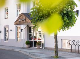 Home Hotel Atlantic，位于桑讷菲尤尔的酒店