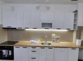Apartmani Vrnjacka Banja 8