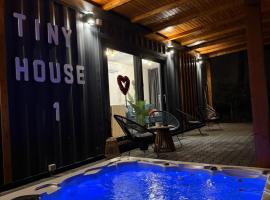 Tiny House by the forest 1，位于Borod的小屋