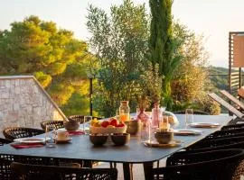 Breathtaking Villa Vis