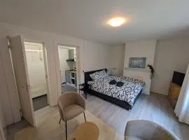 Appartement in hartje Nijmegen