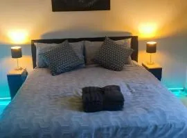 The Reggia Nest