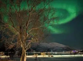 Hammergaarden - Kårstua - Panoramic Arctic Stay