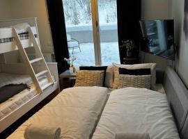 Lake Resort - Pool & Sauna，位于沃斯的酒店