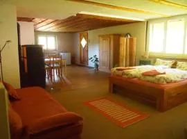 Apartment Hübsche 2-Zimmer-Wohnung in umgebauten Bauernhaus by Interhome