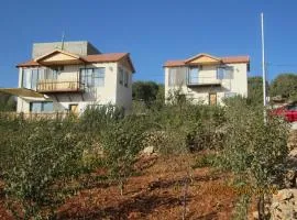 اكواخ الملول عجلون 2