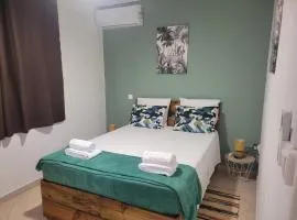 LE MANGO COSY proche de l'aéroport