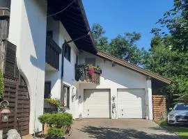 Sunny apartment near Salzburg