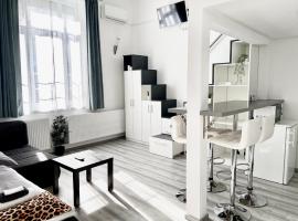 Belv&aacute;rosi Apartman，位于米什科尔茨的住宿