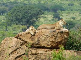 Tausa Tsavo Eco Lodge，位于Voi的酒店