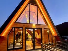 Twin Cabins Azuga