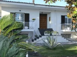 白色大宅住宿加早餐旅馆