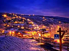 Catch the Snow Now-Beech Mountain Ski Area Studio