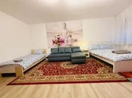 Private Room with Balcony in Central Dossenheim - Near Heidelberg University