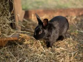 Agriturismo Bisenzio