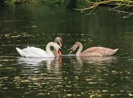 多米可德西公寓
