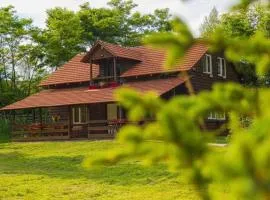 Casa Amis cabană