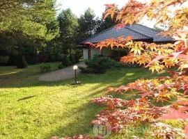 Villa Blue Horizon Warchały