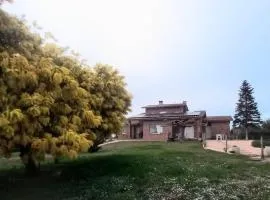 Can Carbó