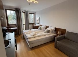 Villa Park Borovets，位于波罗维茨的酒店