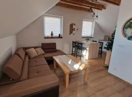 Apartament nr 1 Pod Złotym Groniem