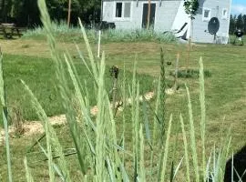 DoWielina - domki wśród natury