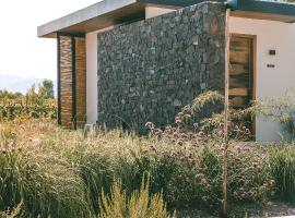 Boutique Hotel Bodega CICLO ANDINO，位于Perdriel的酒店