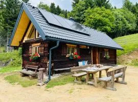 Götzfried-Almhütte - Alleinlage mit Panoramablick am Millstätter See