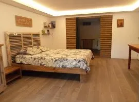 Bas de villa proche plage raisins clairs dans jardin luxuriant