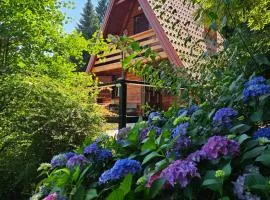 Twin Forest, riverside cabin