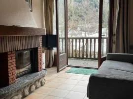 appartement le petit chalet sauna