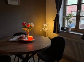SanMar 1 Ferien und Wohnpark Residenz，位于梅斯多夫的酒店