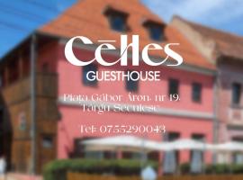 Céhes Guesthouse，位于特尔古-塞奎斯的酒店
