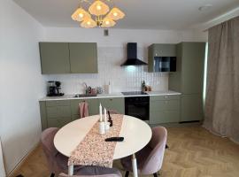 Central Kauppakatu Apartment，位于约恩苏的酒店