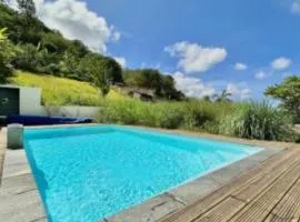 Le zèbre a carreaux