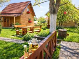 Apartments Vila Selena - Golija，位于Rudno的酒店