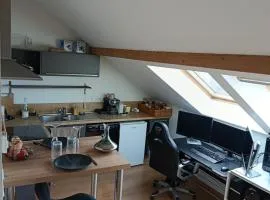 Apartment T2 facing the lake, 1 minute from the train station