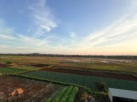 Lúa Vàng homestay