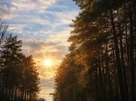 Leśne Zacisze Radawa II