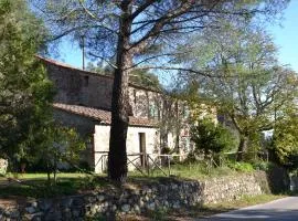 LA GRANCIA DEL SANTO